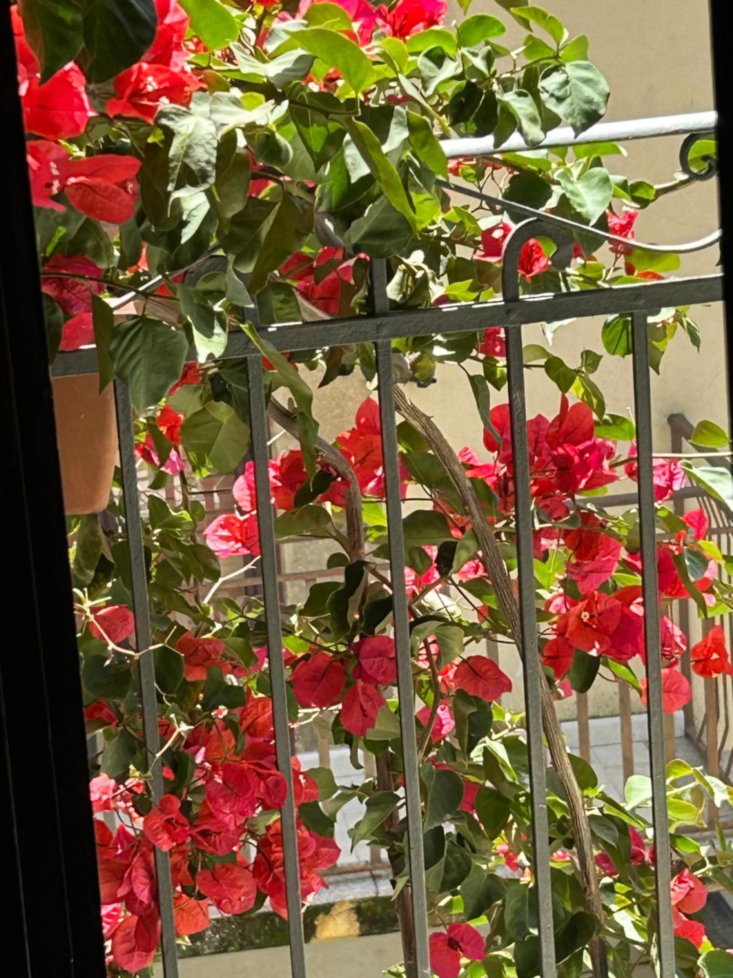 B&B L'Angolo Sulla Piazza Mirabella Imbaccari Екстериор снимка