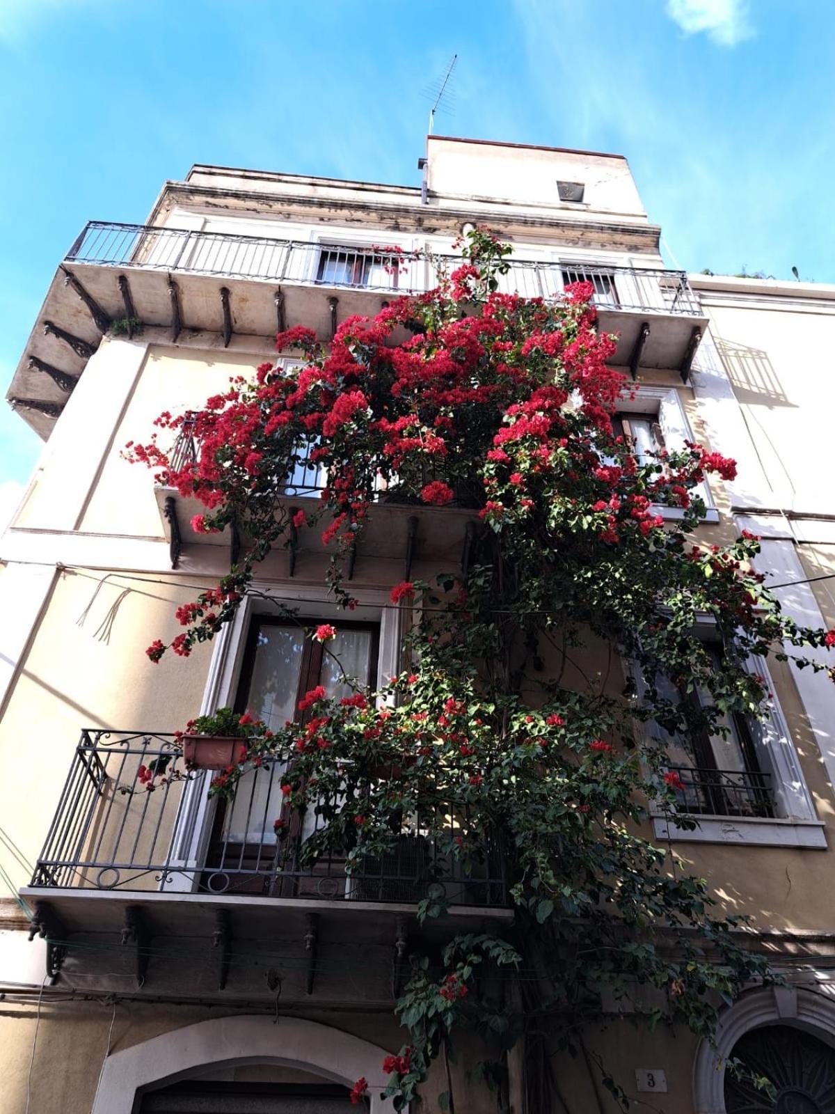 B&B L'Angolo Sulla Piazza Mirabella Imbaccari Екстериор снимка